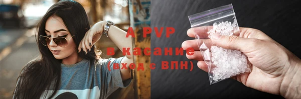 ПСИЛОЦИБИНОВЫЕ ГРИБЫ Аркадак