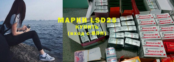 ПСИЛОЦИБИНОВЫЕ ГРИБЫ Аркадак