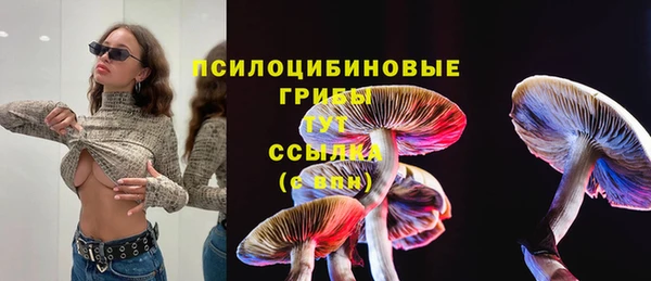 экстази Арсеньев